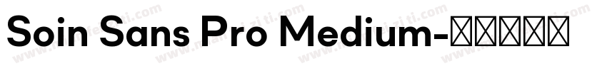 Soin Sans Pro Medium字体转换
